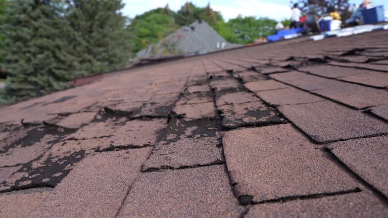 Best Solar Panel Roofing Installation  in St Helens, OR