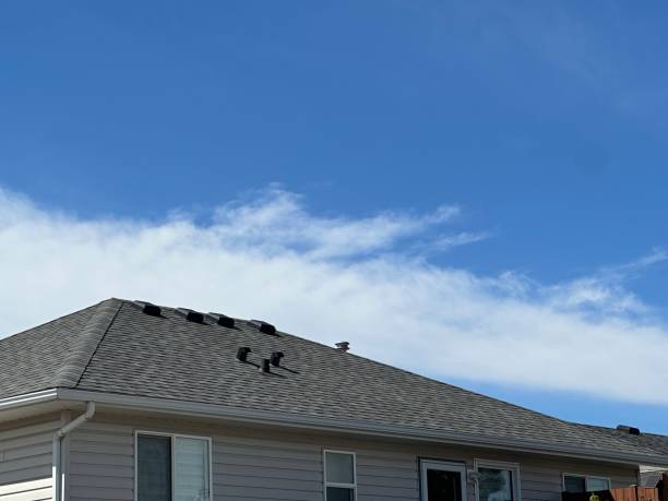 Best Steel Roofing  in St Helens, OR